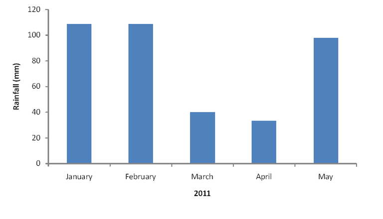 Mean total monthly precipitation, ECN terrestrial sites, Jan - May 2011