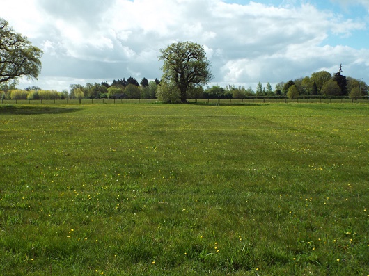 Rothamsted ECN site - Click for photo archive