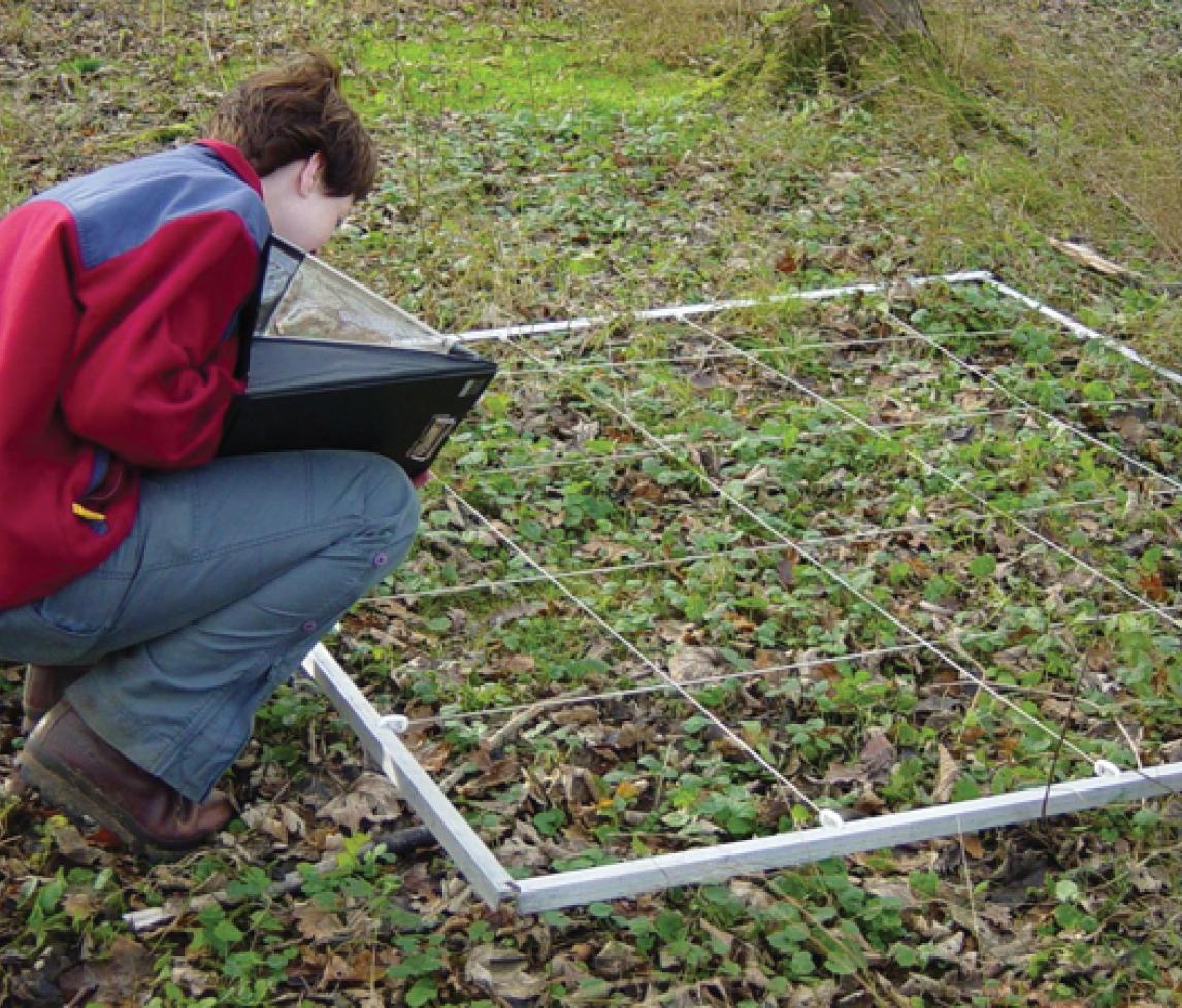 Surveying vegetation