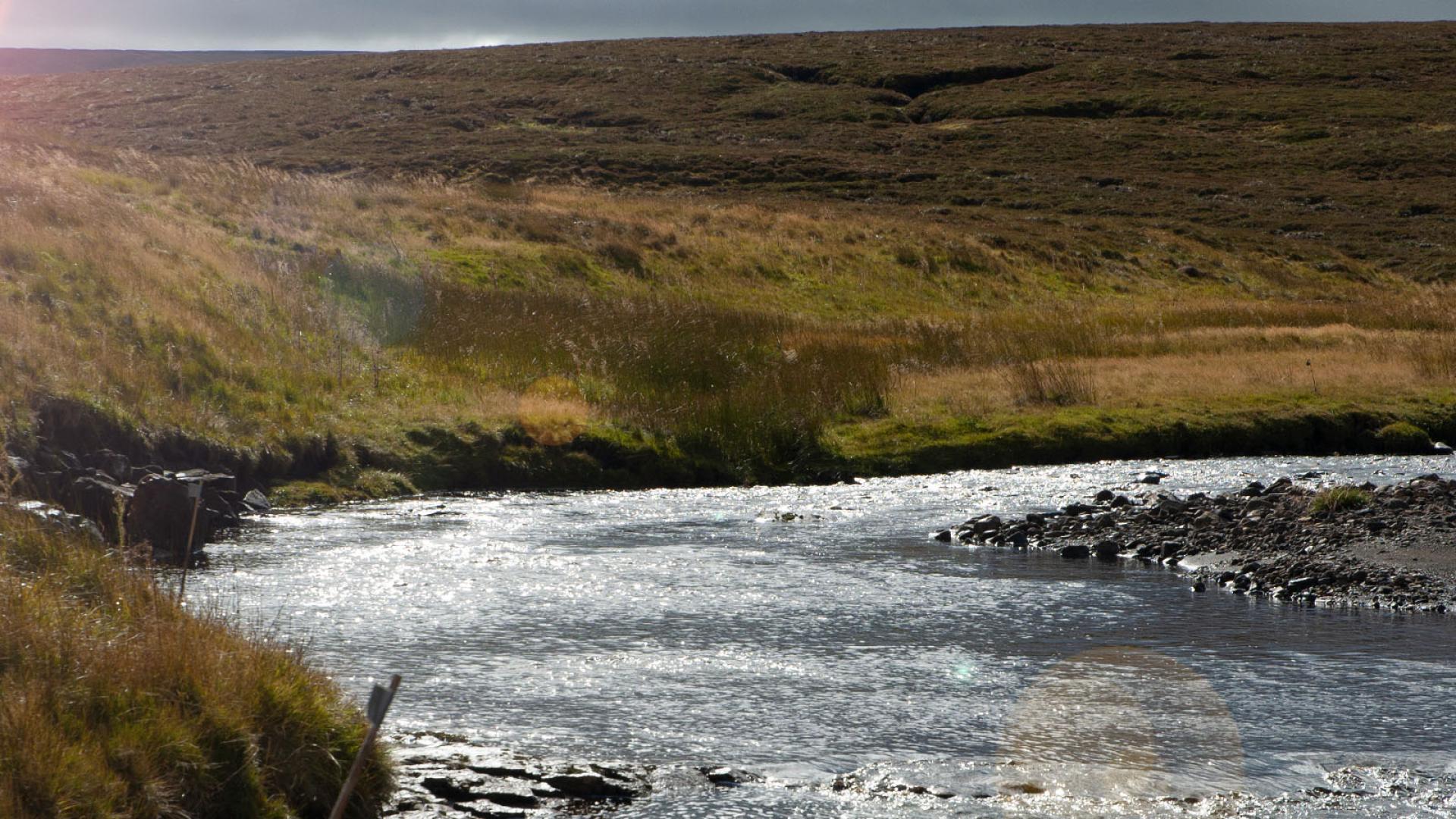 Sites  UK Environmental Change Network