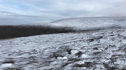 Cairngorms in light snow. Photo: Elise Gallois
