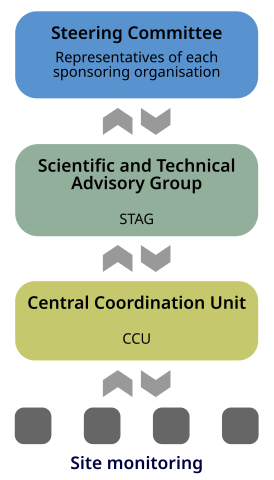 ECN organisational structure