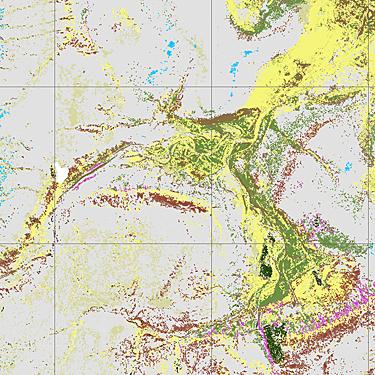 Moor House vegetation map