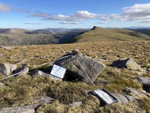 Mountain-top vegetation survey in the Cairngorms