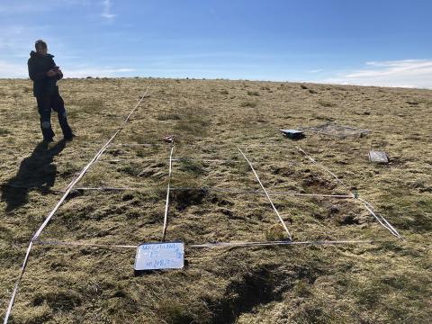 An ecologist surveying upland vegetation high in the Cairngorms. Photo: copyright UKCEH