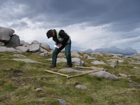 Vegetation surveying in the Cairngorms, Scotland