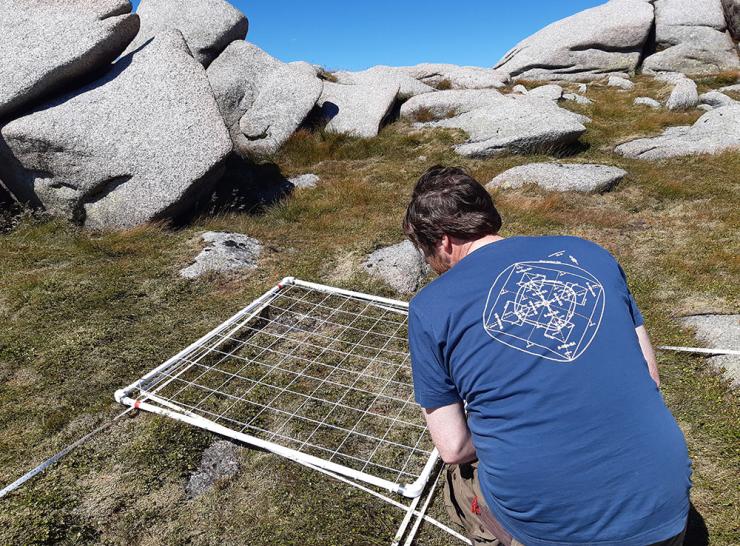 Surveying high altitude vegetation in the Cairngorms