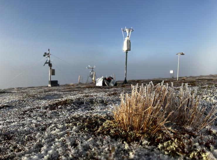 Monitoring equipment at the ECN Cairngorms site in the winter (frost on the ground)