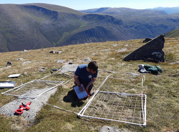 Surveying high altitude vegetation at ECN Cairngorms. Photo: © UKCEH