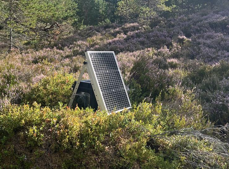 A bioacoustic bird monitoring device with a solar panel at ECN Cairngorms