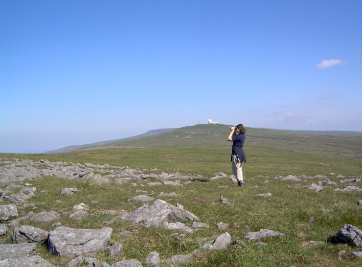 One of our placement students surveying for birds at Moor House on a sunny day