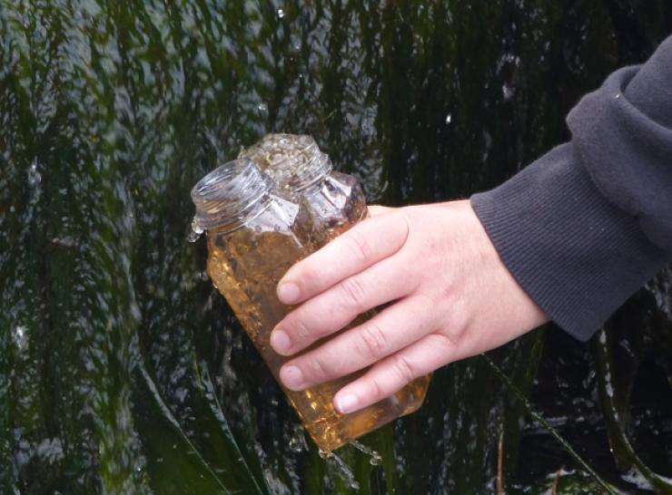 Read about trends in dissolved organic carbon in soil waters and the potential drivers Collecting peatland stream water