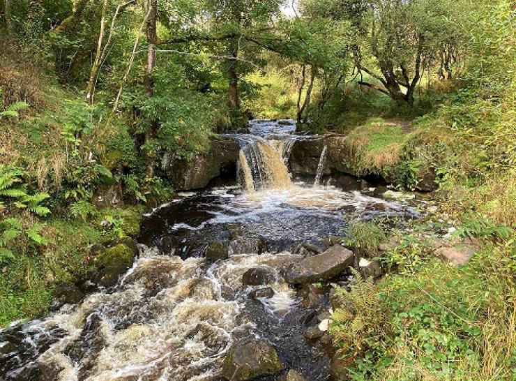 Upland stream